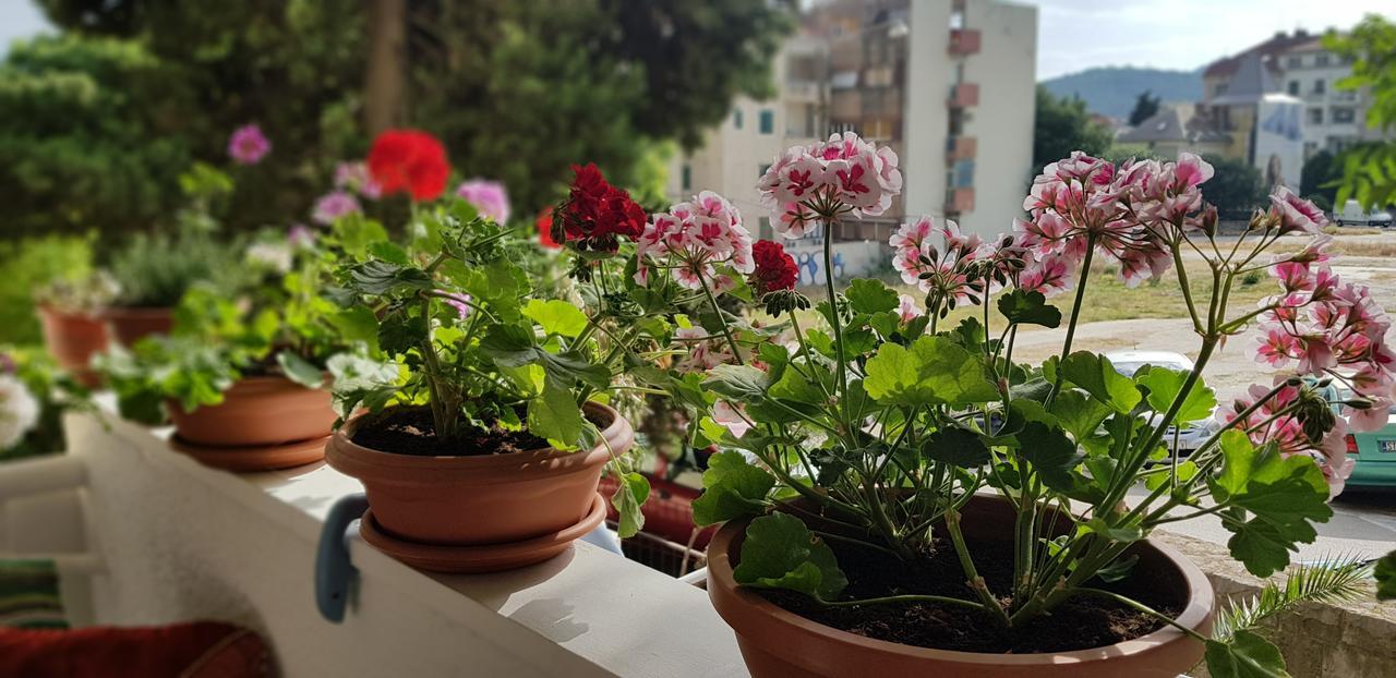 Apartment With Balcony Red Rose سبليت المظهر الخارجي الصورة